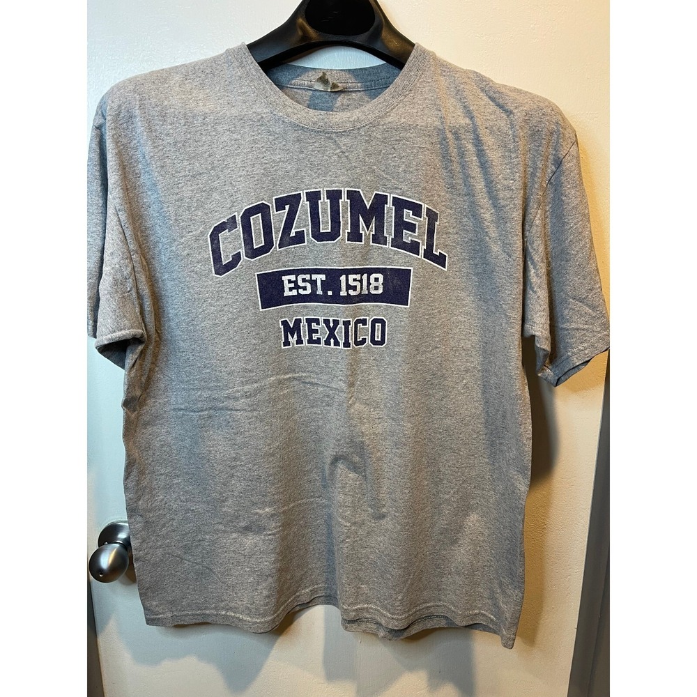 Cancun Reef Mens Cozumel Mexico Graphic T-Shirt Heather Grey XL Short Sleeve